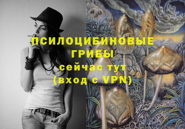 спайс Михайловка