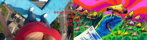 2c-b Алзамай