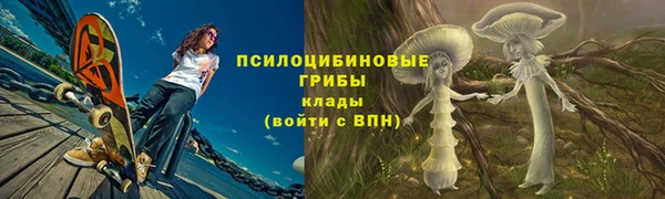 2c-b Алзамай