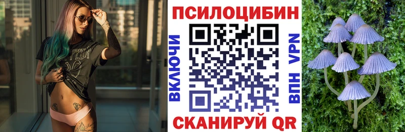 Галлюциногенные грибы GOLDEN TEACHER  блэк спрут маркетплейс  Владимир  цены  